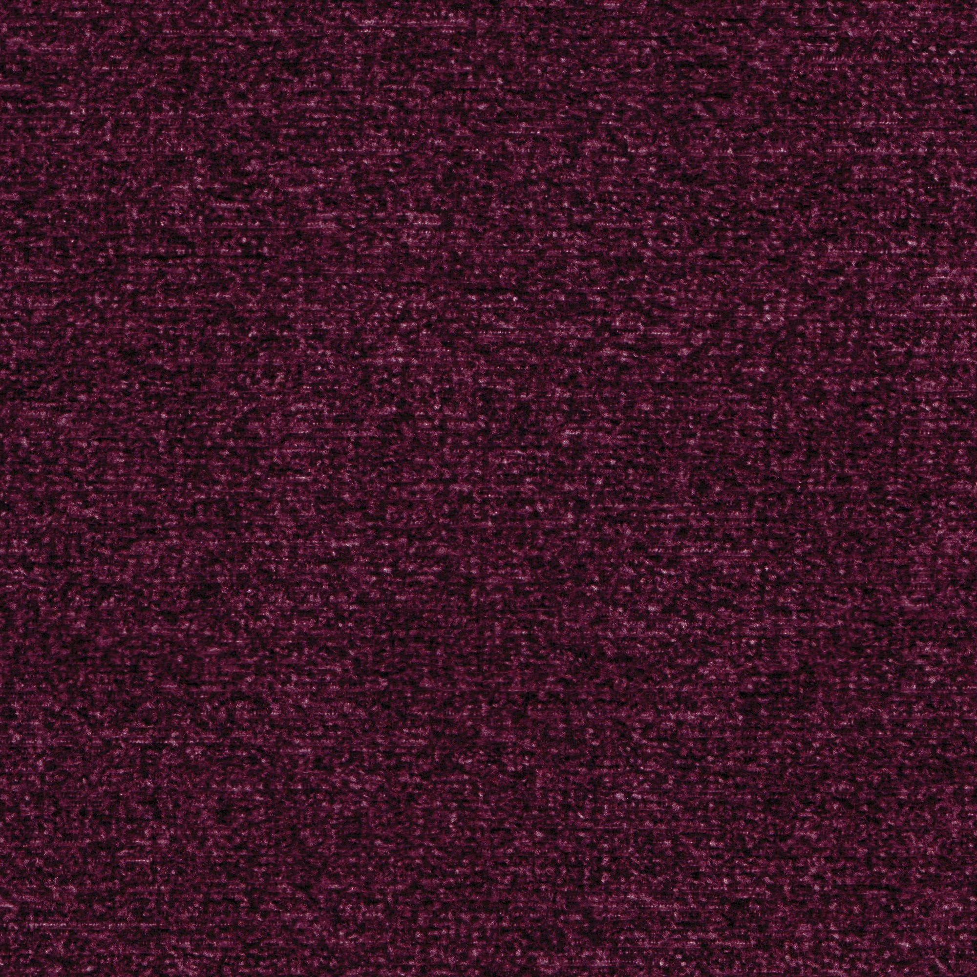 Distinction - Image 3