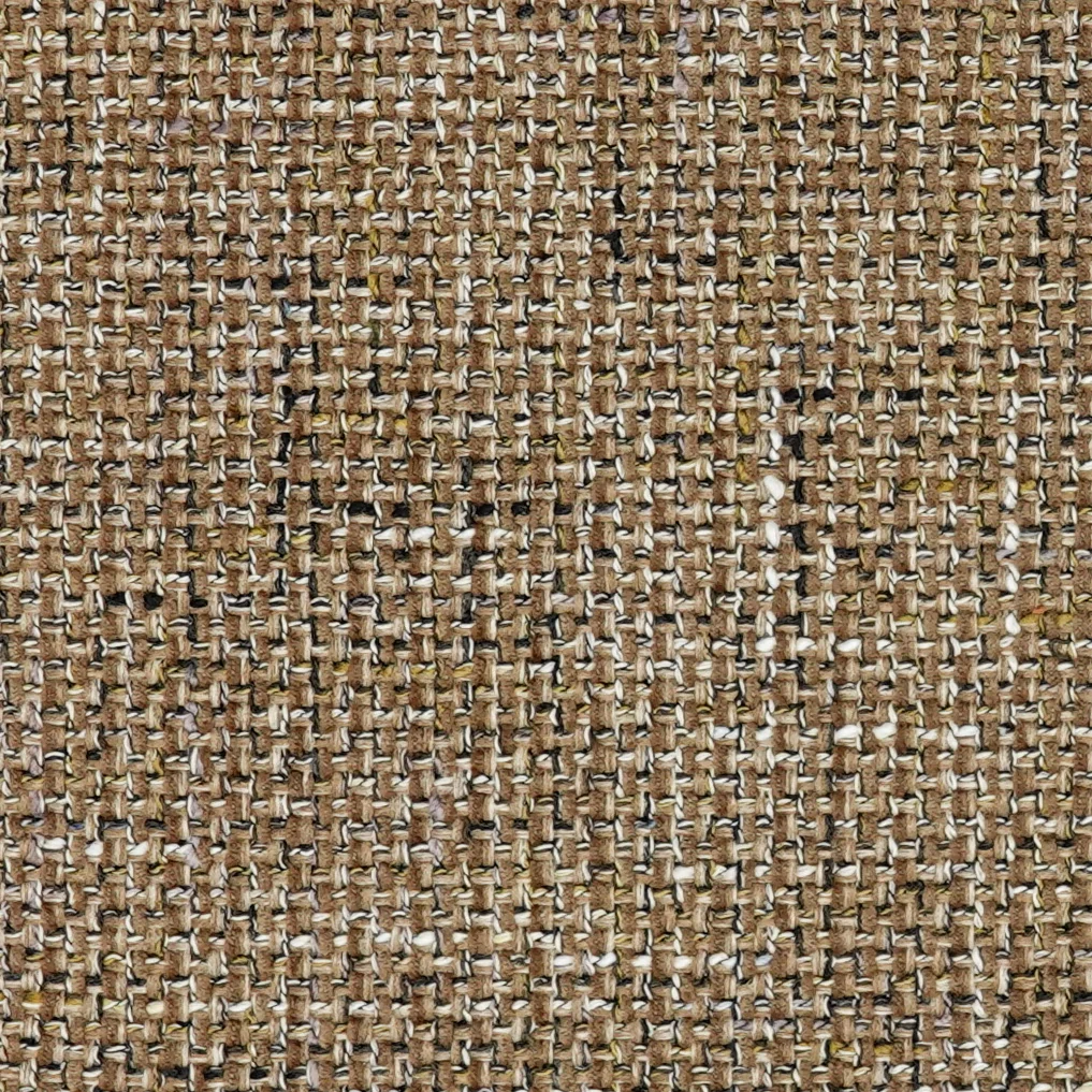 Nico - Image 4