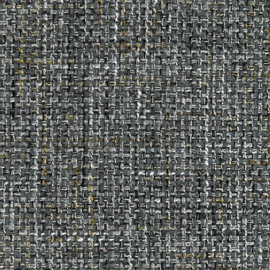 Nico - Image 5