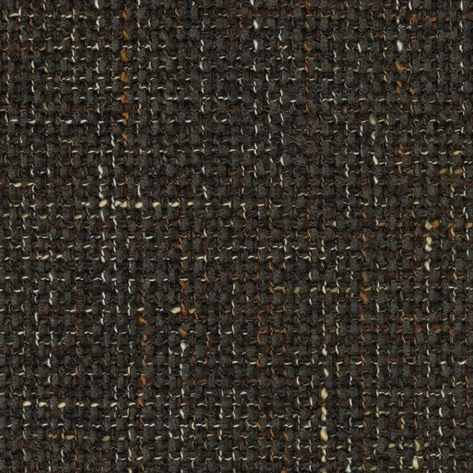 Nico - Image 7