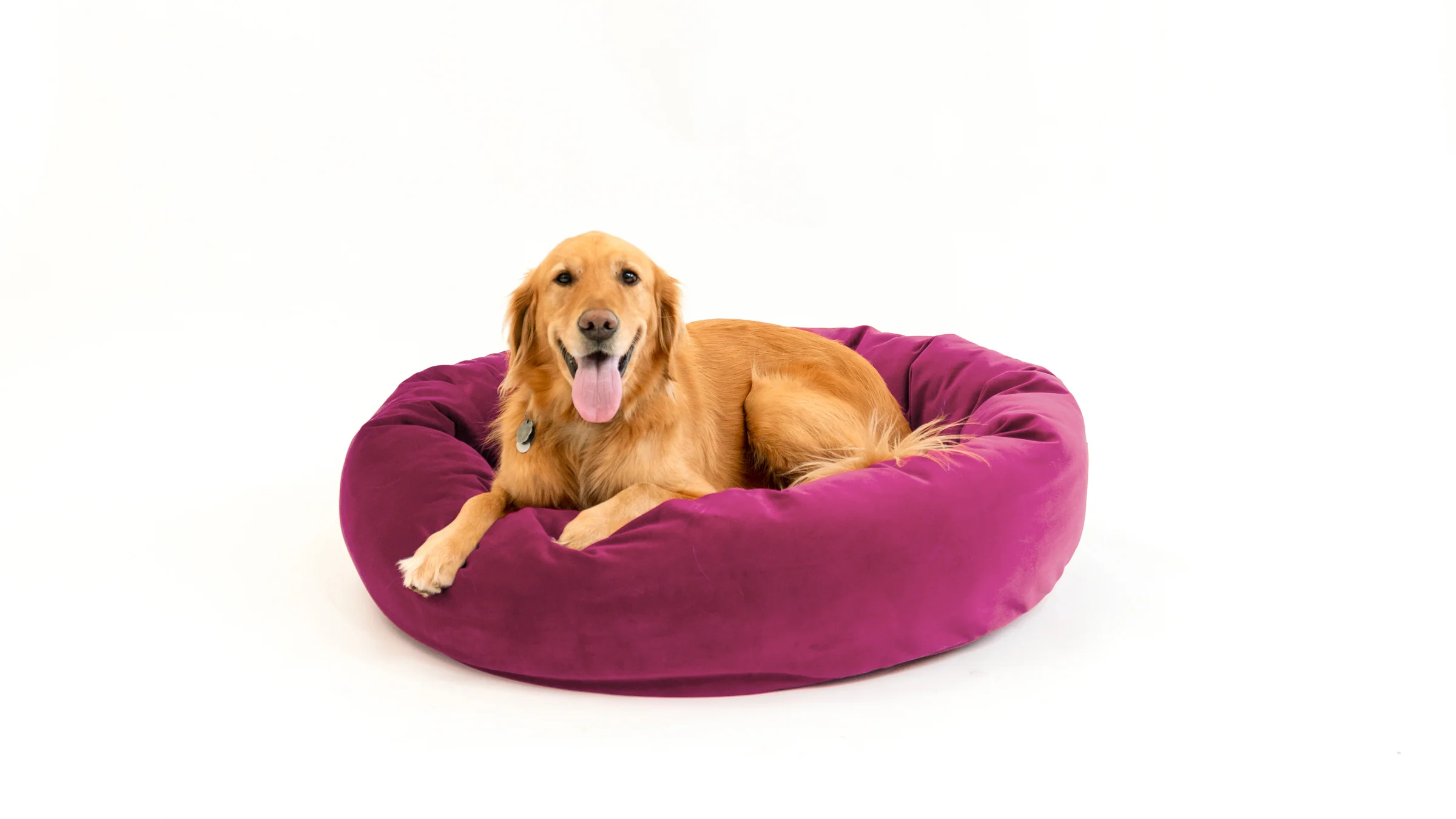 Royal Pet Bed - Image 106
