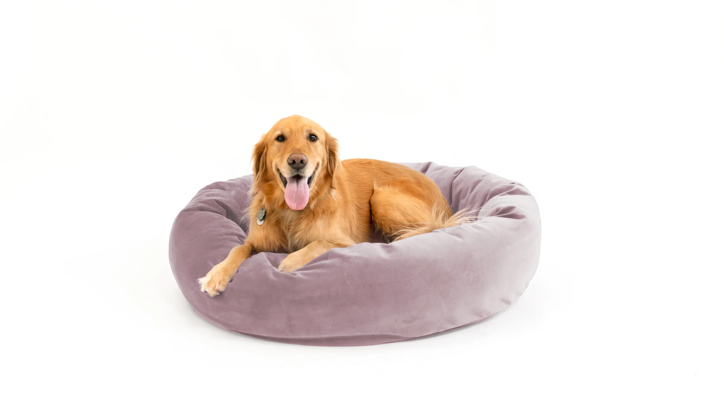 Royal Pet Bed - Image 109