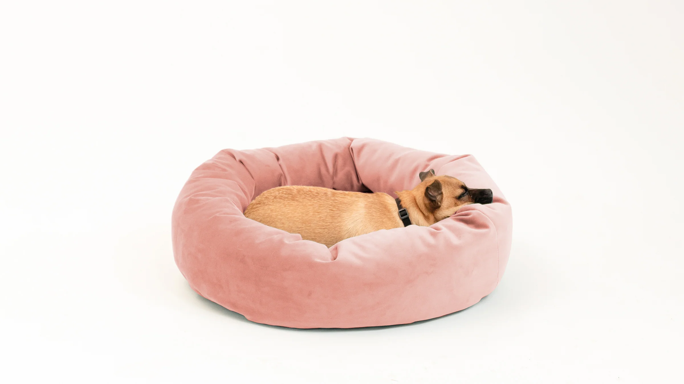 Royal Pet Bed - Image 117