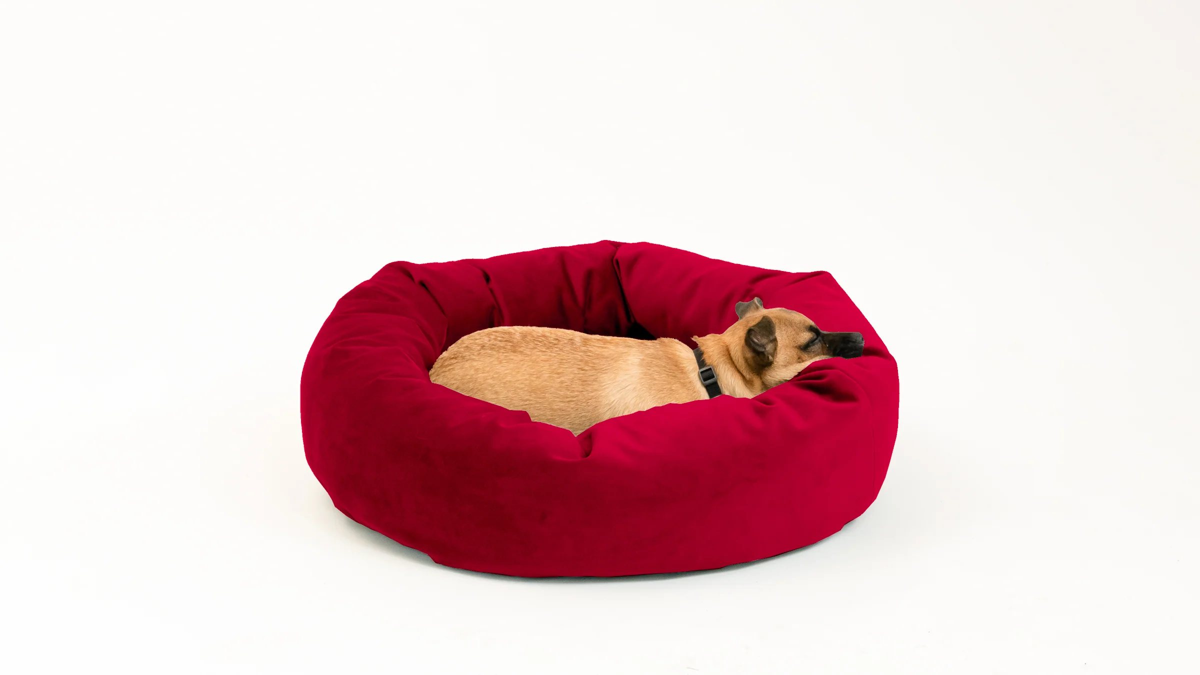 Royal Pet Bed - Image 13