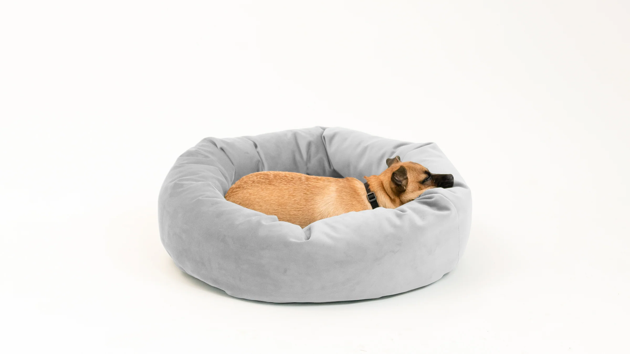Royal Pet Bed - Image 15