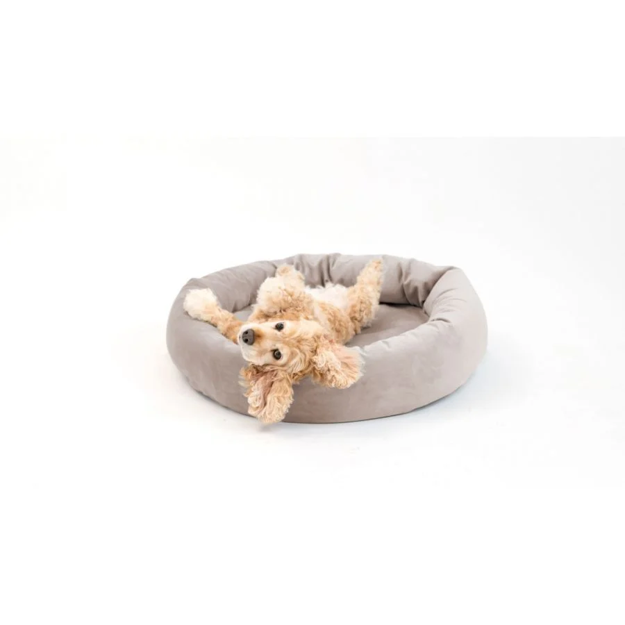 Royal Pet Bed - Image 5