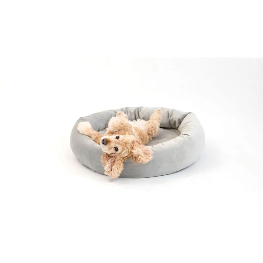 Royal Pet Bed - Image 6