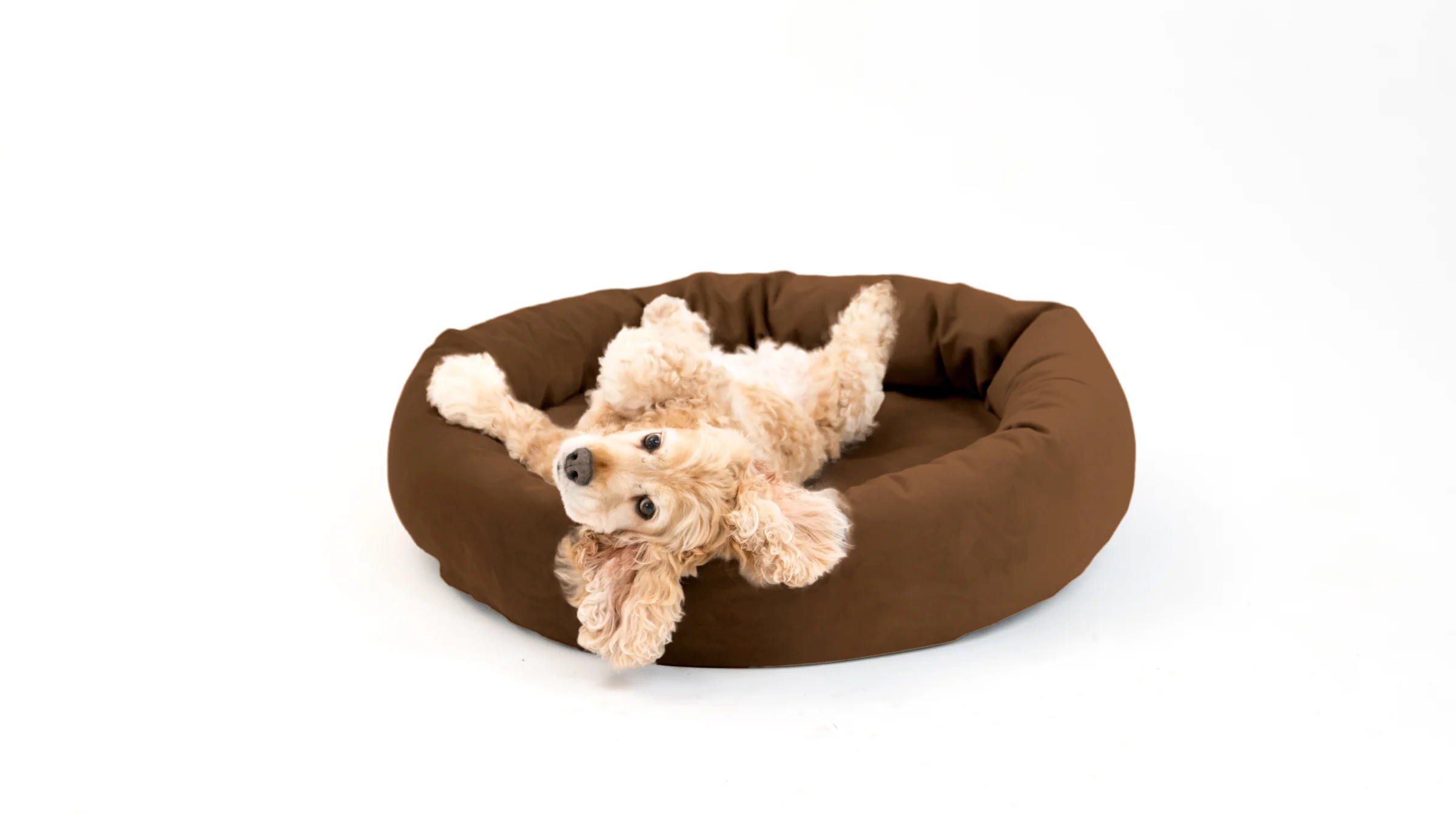 Royal Pet Bed - Image 68