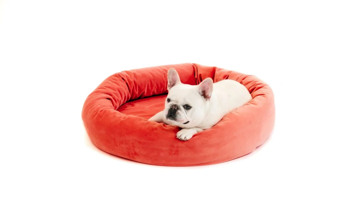 Royal Pet Bed - Image 8