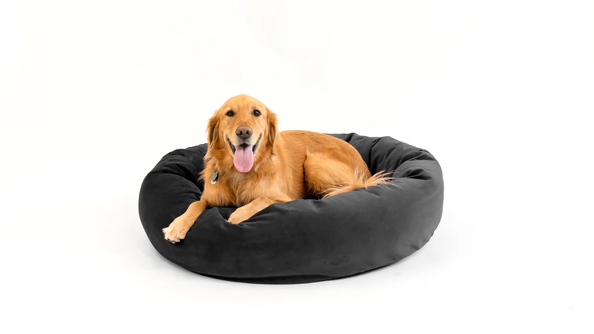 Royal Pet Bed - Image 85