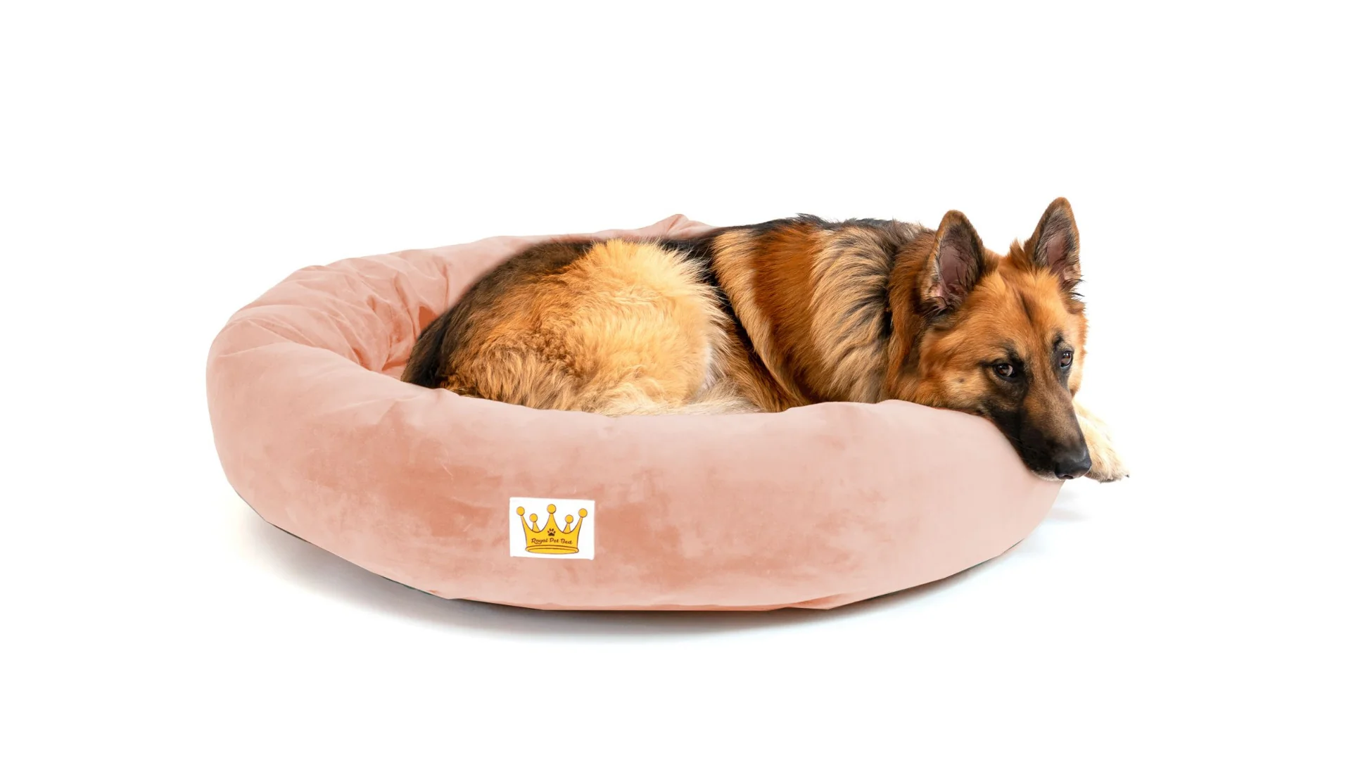 Royal Pet Bed - Image 9