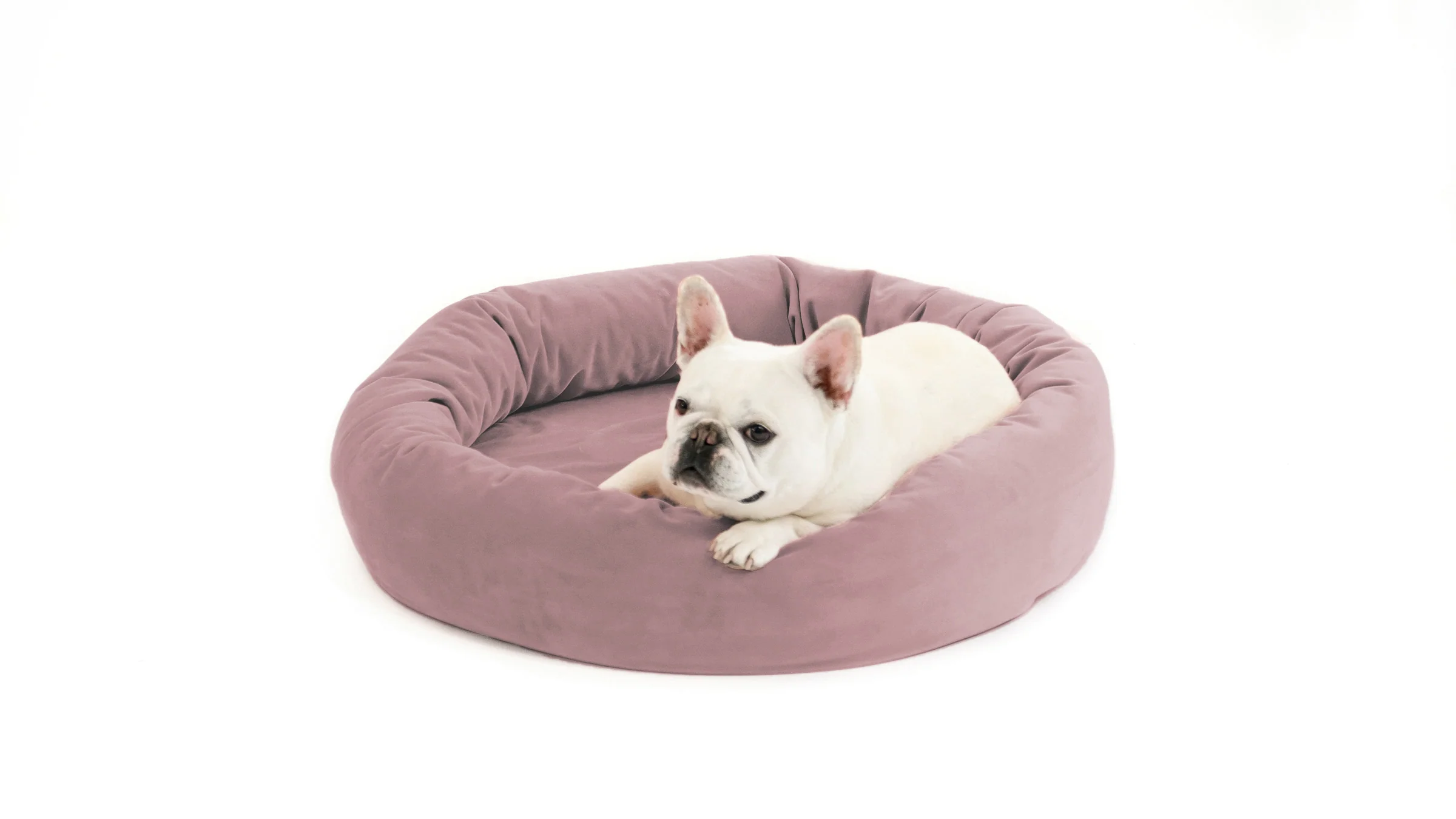 Royal Pet Bed - Image 98