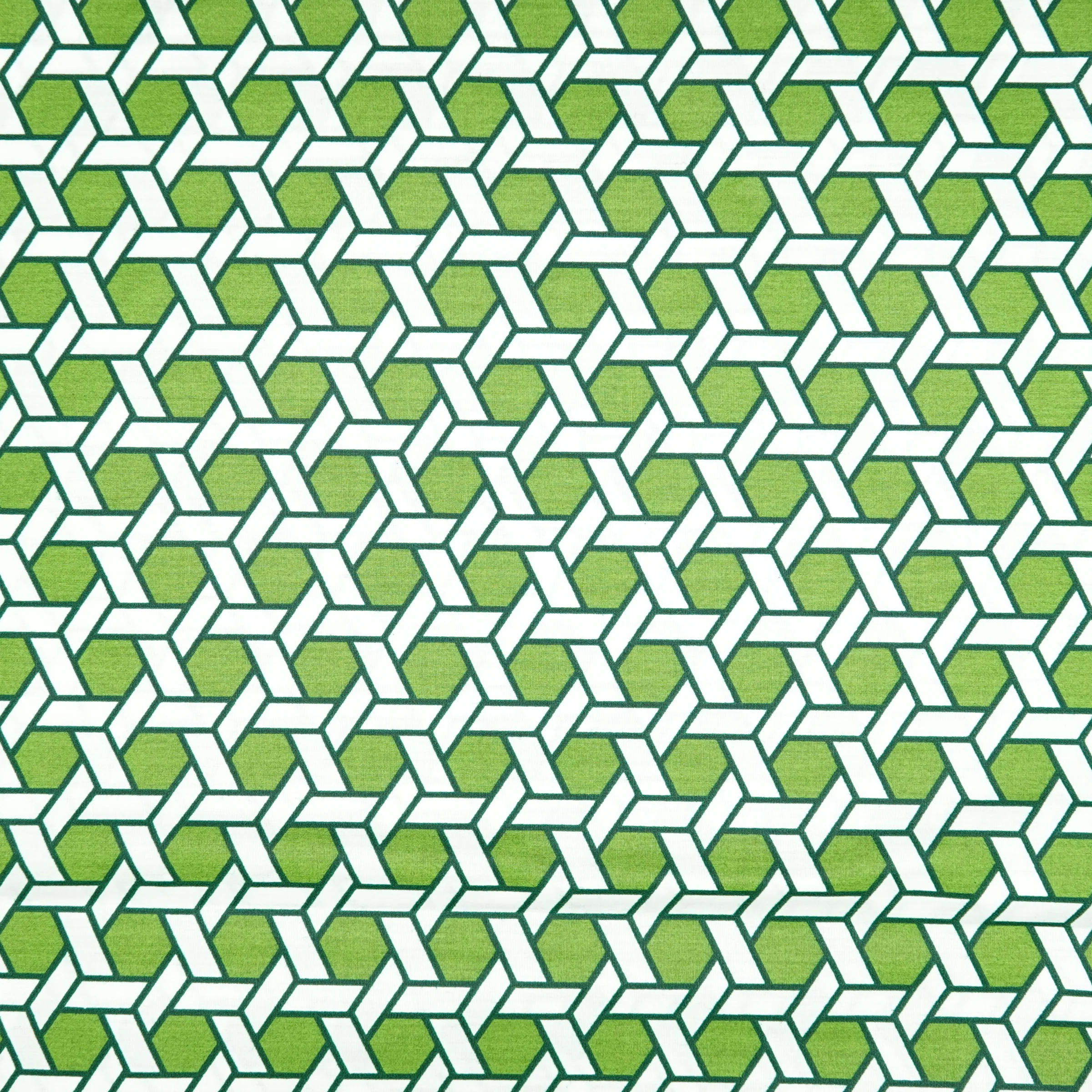 Swatch Shoji - Image 2