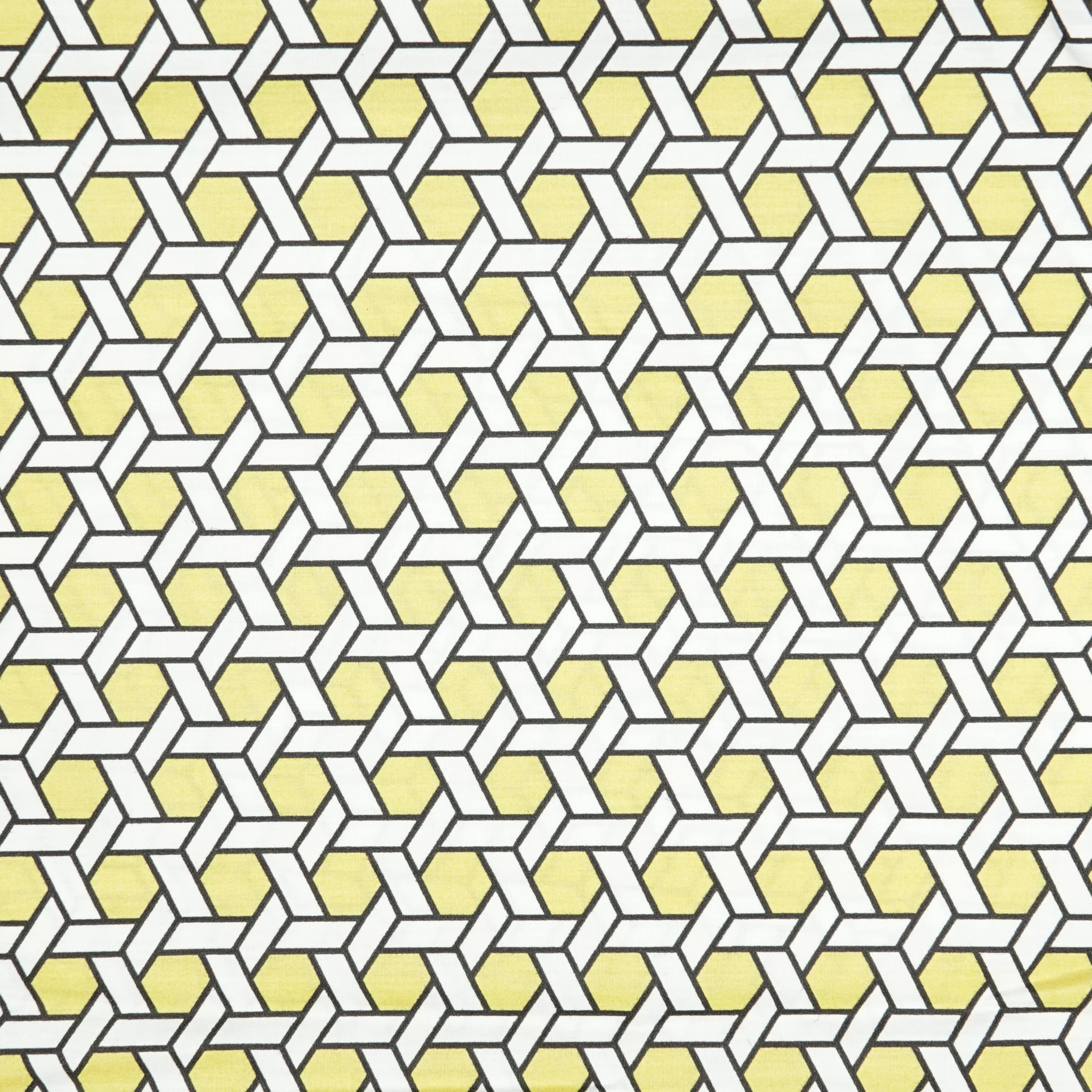 Swatch Shoji - Image 4
